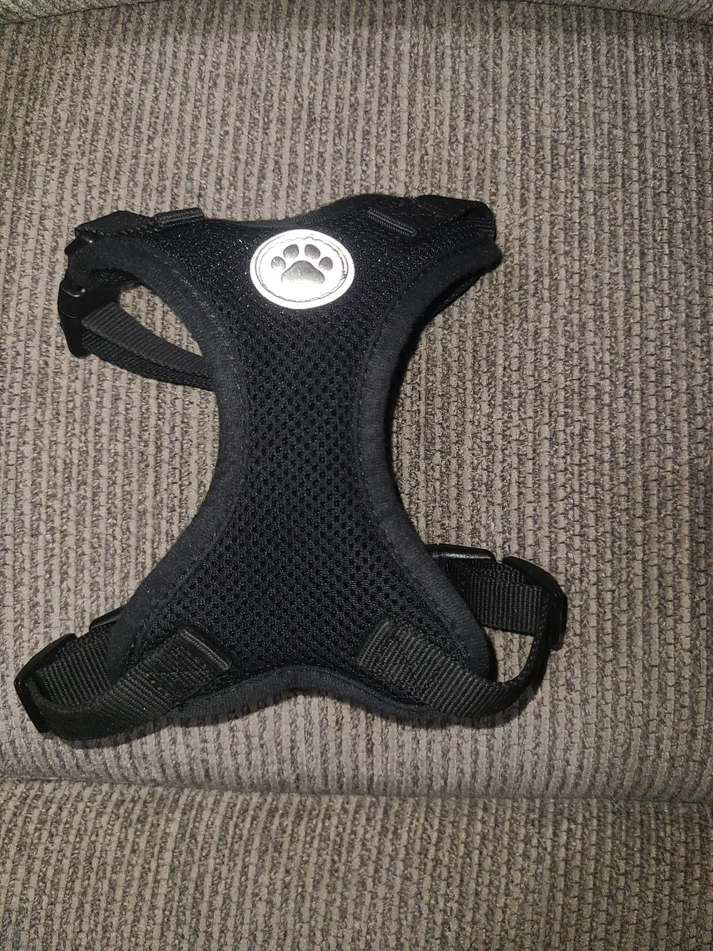X-small Dog Items
